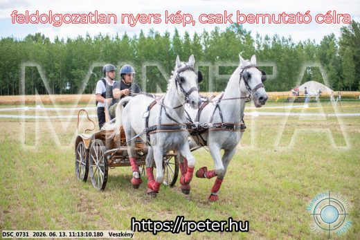 Mintakép 20260613-552