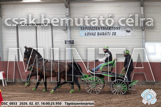 Mintakép 20260207-241