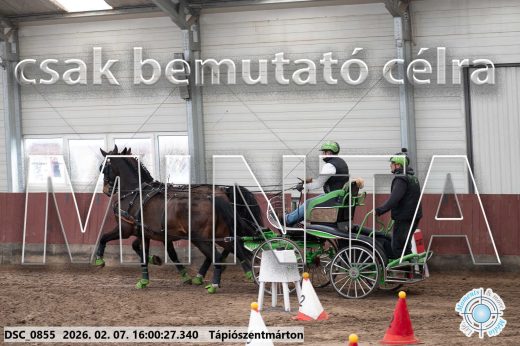 Mintakép 20260207-243