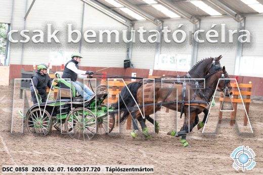 Mintakép 20260207-246