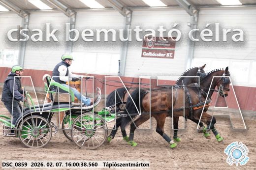 Mintakép 20260207-247