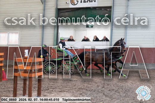 Mintakép 20260207-248