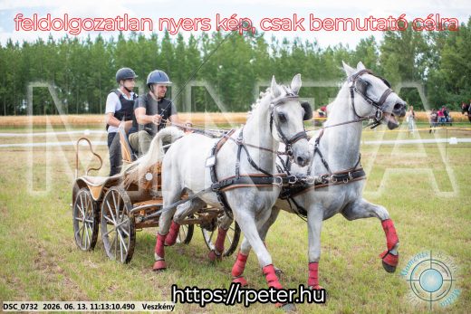 Mintakép 20260613-553