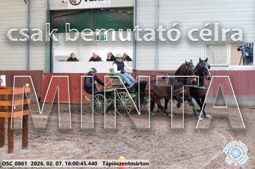 Mintakép 20260207-249