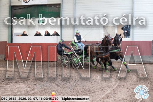 Mintakép 20260207-250