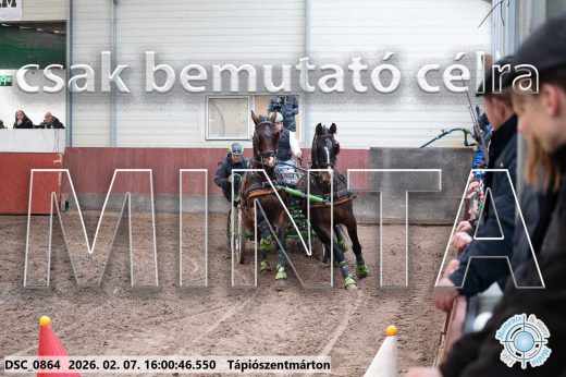 Mintakép 20260207-252