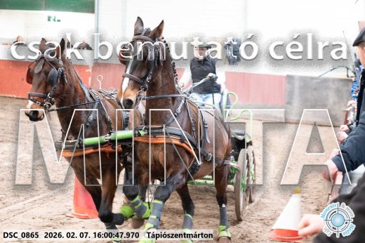Mintakép 20260207-253