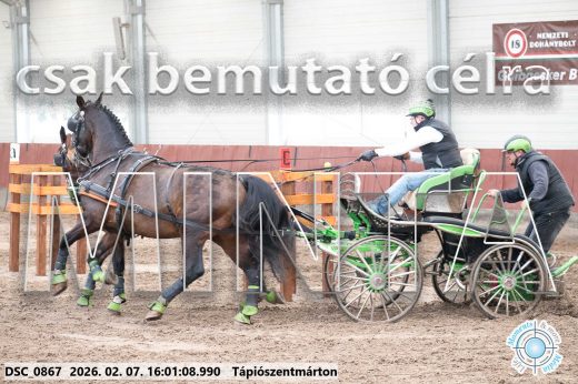 Mintakép 20260207-254