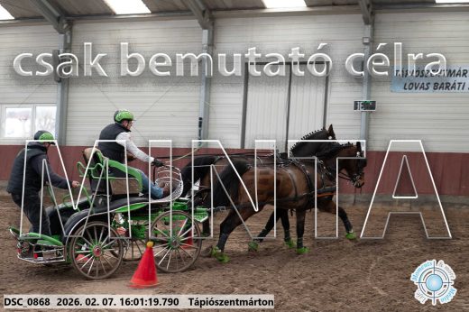 Mintakép 20260207-255