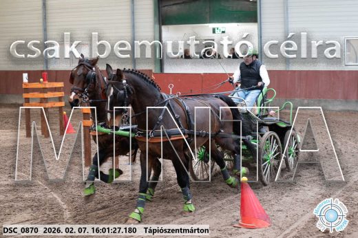 Mintakép 20260207-257