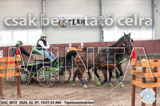 Mintakép 20260207-259