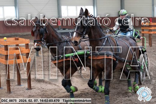 Mintakép 20260207-262