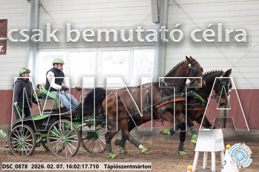 Mintakép 20260207-264