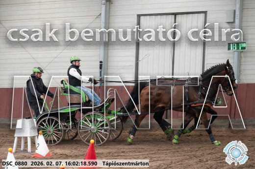 Mintakép 20260207-265