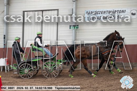 Mintakép 20260207-266