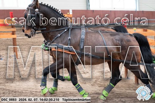 Mintakép 20260207-267
