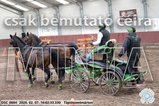 Mintakép 20260207-268