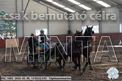 Mintakép 20260208-352