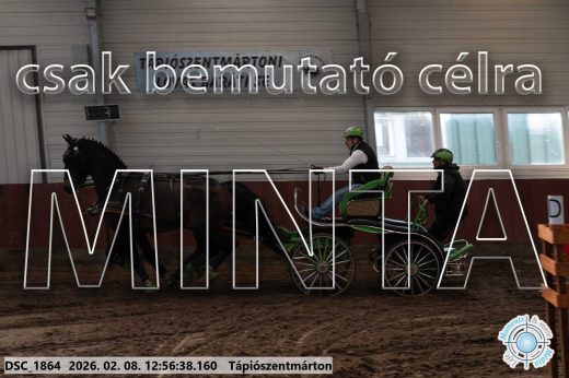 Mintakép 20260208-353