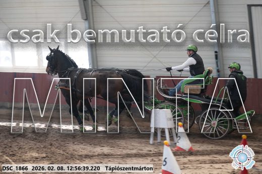 Mintakép 20260208-355