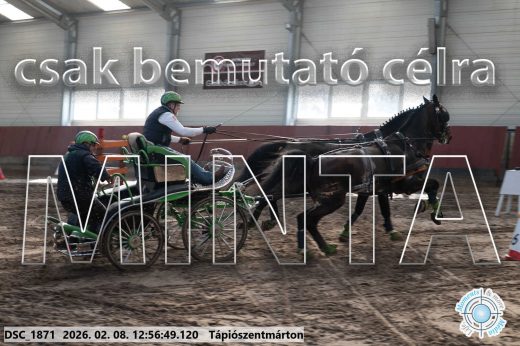Mintakép 20260208-360