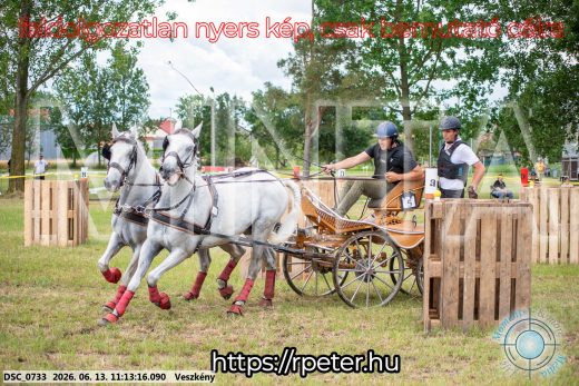 Mintakép 20260613-556