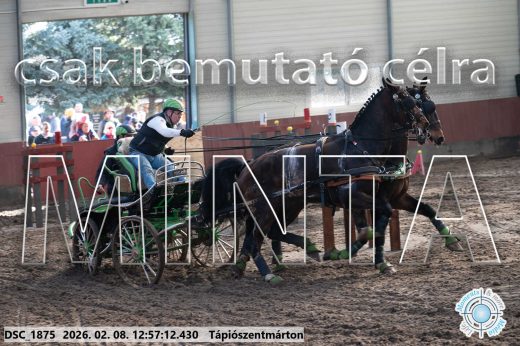 Mintakép 20260208-363