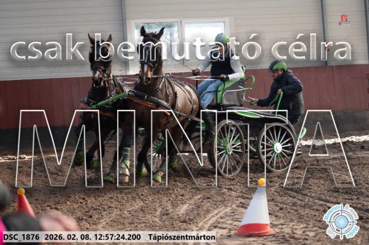 Mintakép 20260208-364
