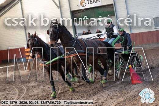 Mintakép 20260208-366
