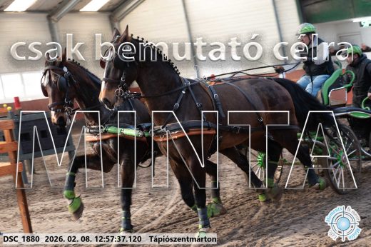 Mintakép 20260208-367