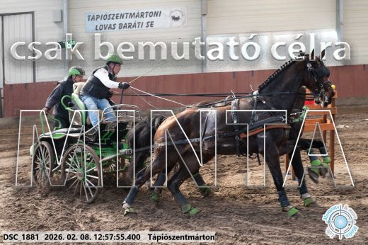 Mintakép 20260208-368