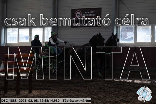 Mintakép 20260208-370