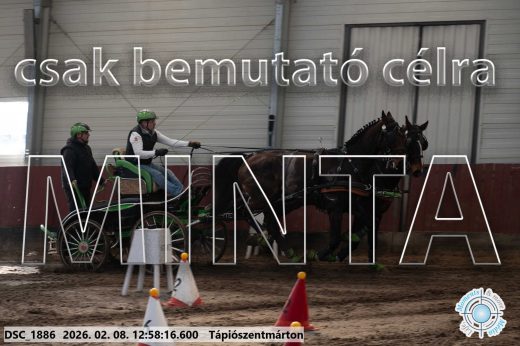 Mintakép 20260208-372