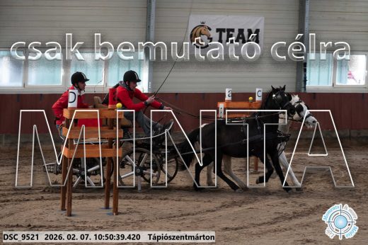 Mintakép 20260207-273