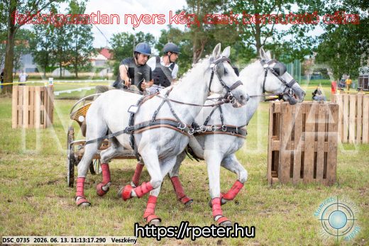 Mintakép 20260613-558