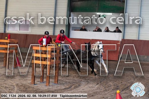 Mintakép 20260208-386