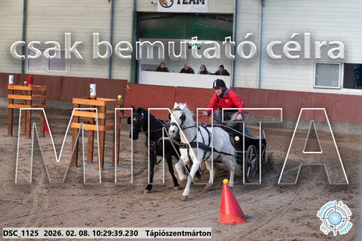 Mintakép 20260208-387