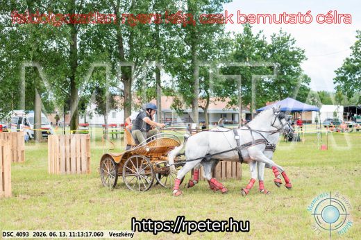 Mintakép 20260613-560