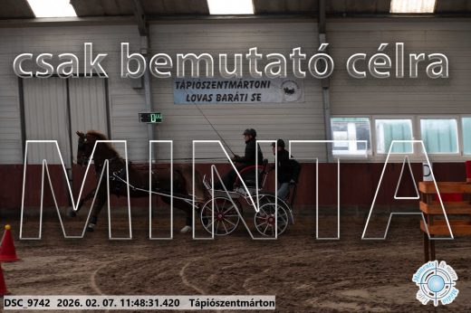 Mintakép 20260207-281
