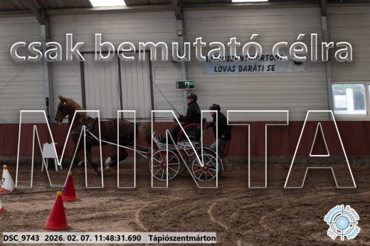 Mintakép 20260207-282