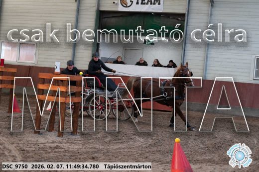 Mintakép 20260207-287