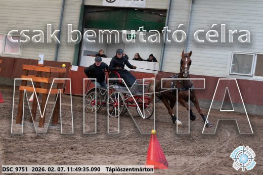 Mintakép 20260207-288