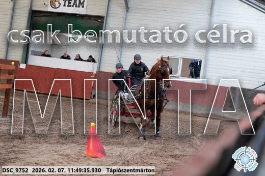 Mintakép 20260207-289