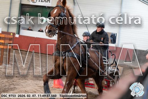 Mintakép 20260207-290
