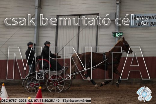 Mintakép 20260207-292