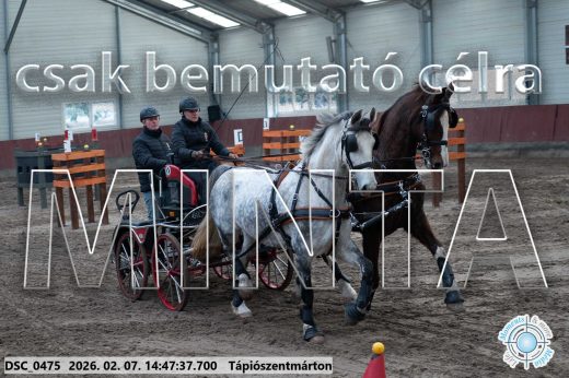 Mintakép 20260207-294