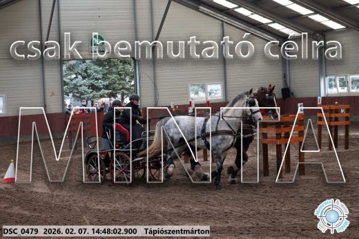 Mintakép 20260207-298