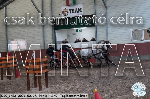 Mintakép 20260207-299