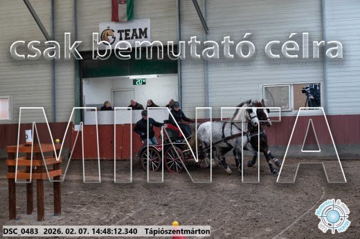 Mintakép 20260207-300