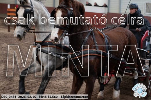 Mintakép 20260207-301